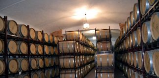 Cooperativa El Progreso de Villarrubia de los Ojos potenciará el enoturismo en sus instalaciones cada sábado barricas