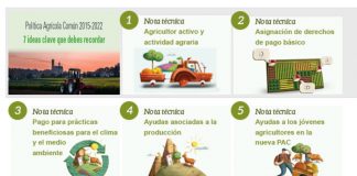 Publicadas las notas técnicas sobre la campaña 2022 de la Política Agrícola Común (PAC)