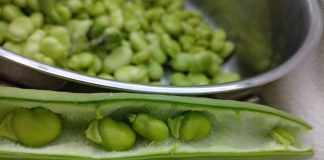 Reclaman más apoyo para cumplir con el objetivo europeo en producción ecológica