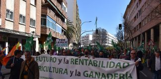 Miles de agricultores y cientos de tractores exigen en Ciudad Real soluciones urgentes para el campo Manifestación Ciudad Real
