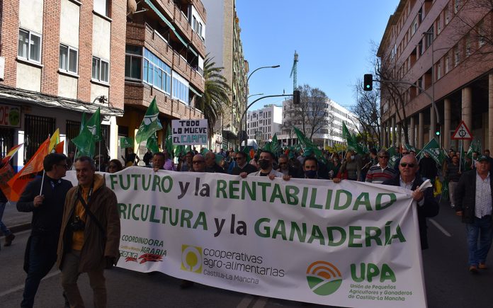 Manifestación Ciudad Real