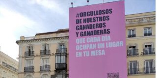 Sector porcino reivindica con orgullo el trabajo que realizan a diario decenas de miles de ganaderos