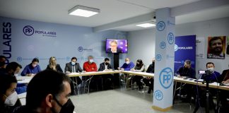 PP Castilla-La Mancha reclama una respuesta unánime ante el ataque europeo al cultivo de la lavanda