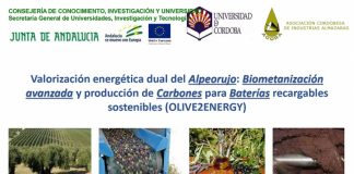 Desarrolla un proyecto para valorizar el alpeorujo del aceite de oliva