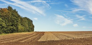 Europa valora incluir en la nueva PAC medidas como ayudas directas a pequeños agricultores y exenciones medioambientales campo