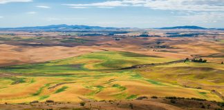 Un informe advierte contra el abandono de las políticas verdes ante la crisis alimentaria campo
