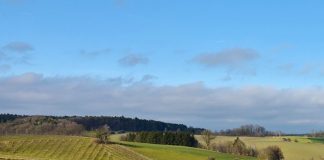 ¿Cómo controla el FEGA el cumplimiento de los ecorregímenes de la PAC? campo