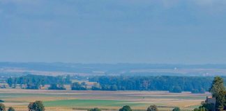 Las Comunidades de Bienes, en peligro tras los cambios del Plan Estratégico de la Política Agrícola Común (PAC) campo