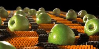 Los cepillos tienen múltiples usos tanto en la agricultura como en la ganadería actual cepillos industriales