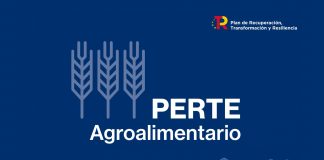 El Gobierno aprueba el PERTE para impulsar la competitividad, la sostenibilidad y la trazabilidad del sector agroalimentario