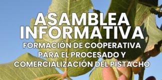 Agricultores de Tomelloso constituyen una nueva cooperativa de pistachos