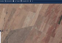 El Ministerio de Agricultura refuerza los controles de ayudas PAC para 2026 con un nuevo plan nacional SIGPAC