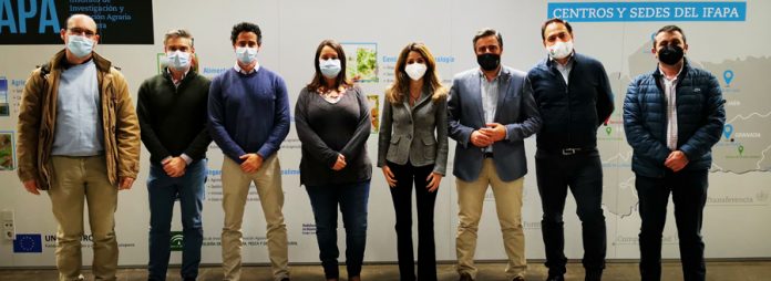 upa andalucia ecoesquemas