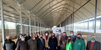 Andalucía pone en marcha medidas frente a la sequía que beneficiarán a más de 22.000 agricultores y ganaderos