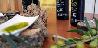 Mensaje de tranquilidad: “Habrá aceite de oliva suficiente para abastecer a los mercados”