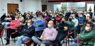 Agricultores de Castilla-La Mancha manifiestan su compromiso para aumentar las hectáreas de cultivo de girasol en la próxima campaña