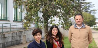 La variedad de olivo determina la concentración de antioxidantes del orujo