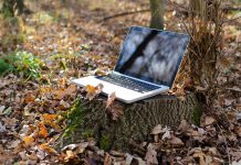 Convocadas ayudas al asesoramiento para la digitalización del sector agroalimentario y forestal PC