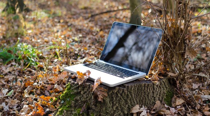 Convocadas ayudas al asesoramiento para la digitalización del sector agroalimentario y forestal PC