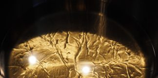 Tranquilidad en el mercado de aceites: no habrá desabastecimiento de girasol aceite de girasol