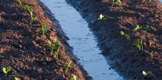 SOS Rural propone mejorar la gestión del agua y la divulgación para revitalizar el campo regadío regantes