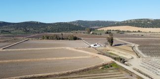 Descontento prácticamente generalizado del sector agropecuario español con las ayudas del Gobierno por la sequía sequía