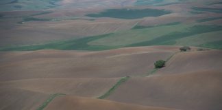 ¿Qué permiten concretamente las medidas de la flexibilización de la PAC por la sequía? barbecho