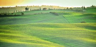 PAC: Tabla de equivalencias entre las 50 regiones del Pago Básico y las 20 de la nueva Ayuda Básica a la Renta para la Sostenibilidad campo