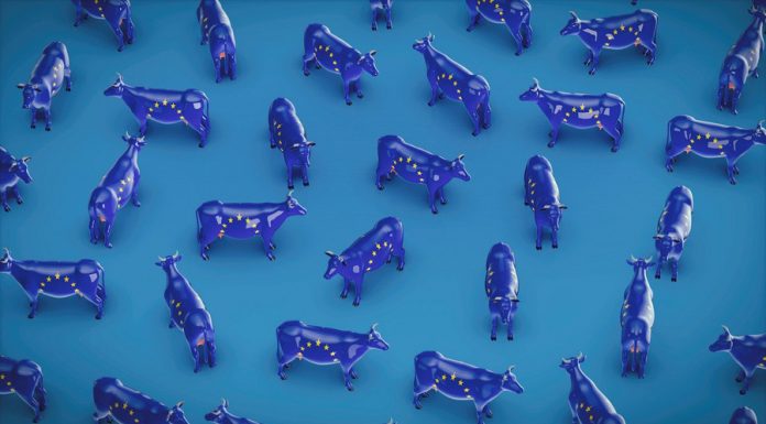 Perspectivas agrícolas de la UE en 2026: más cereales, más leche y caída del vacuno Europa