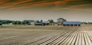 El 31,3% de los titulares de explotaciones agrarias son mayores de 65 años campo finca rústica