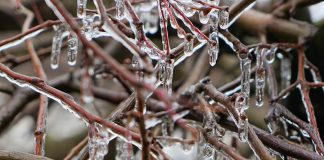 La helada del pasado fin de semana se convierte en el peor evento del seguro agrario en España helada