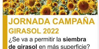 ¿Se va a permitir la siembra de girasol en más superficie?