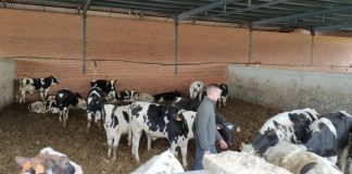 “La situación es insostenible, nuestro grado de desesperación sube por minutos”