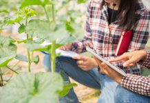 Opinión. Un año más, celebremos el Día internacional de las Mujeres rurales. Rosa Arranz. Presidenta de La Unión de Mujeres Agricultoras y Ganaderas