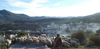 Ministerio de Agricultura destina 400.000 euros a subvenciones para entidades de mujeres rurales de ámbito nacional