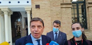 Descarta problemas de abastecimiento de aceite de oliva en España Luis Planas