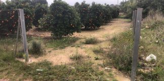 Denuncian una ola de robos de hierro en los campos durante las últimas lluvias