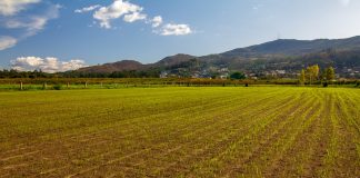 Lamentan que 8.000 agricultores ecológicos van a comenzar a sembrar sin conocer si seguirán con la ayuda siembra