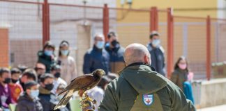 120 escolares de Castilla-La Mancha conocen de cerca el mundo de la cetrería