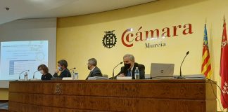 El Consejo del Agua del Segura aprueba dividido el Plan de Demarcación Hidrográfica