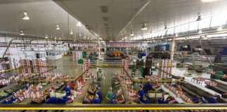 Sector hortofrutícola y citrícola necesitan repercutir el encarecimiento de sus costes para seguir siendo viables