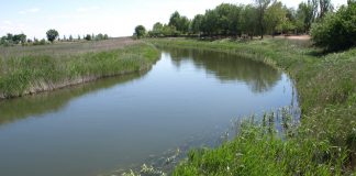 Leve recuperación del Acuífero 23 en el Guadiana, que está a casi -20 metros