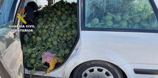 La Guardia Civil desarticula en Murcia un grupo delictivo que sustraía productos del campo para su venta en mercadillos