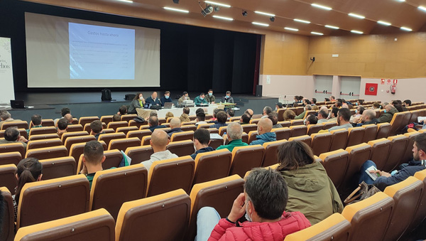 PLANTA PISTACHO EXTREMADURA