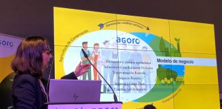 ¿Cómo lograr rentabilidad a partir de la agricultura del carbono?