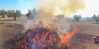 La nueva Ley de Residuos establece que no está permitida la quema de residuos vegetales generados en el entorno agrario o silvícola rastrojo