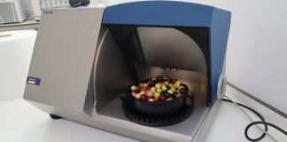 Llegan a España aceitunas de Marruecos con un alto contenido de residuos de pesticidas aceitunas