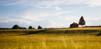 Las medidas de apoyo al sector agrario por la sequía contemplan la exención del pago del IBI de rústica granero