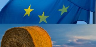 Asaja exige que se autorice el 70 por ciento de las ayudas PAC al 16 de octubre PAC