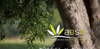 Un aceite de Albacete, Premio Especial Alimentos de España